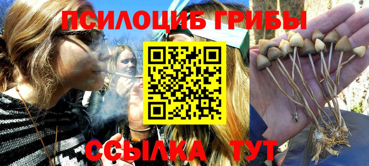 Псилоцибиновые грибы MAGIC MUSHROOMS Чайковский