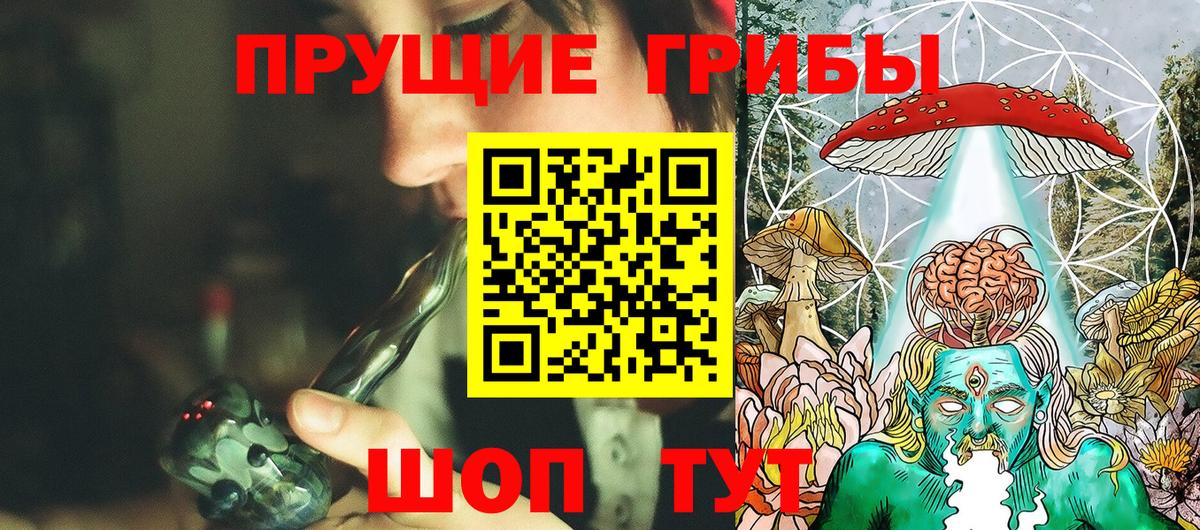 Галлюциногенные грибы Cubensis  Вход с VPN  Чайковский 
